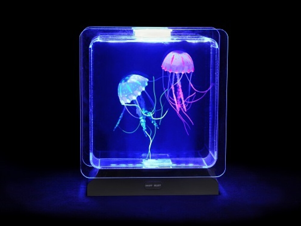 Jelly Fish Tank Square (interchangeable Eu/uk Adapter)