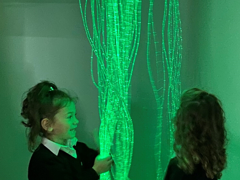 Fibre Optic Curtain 1m 50 Tails