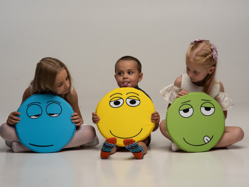 Emotion And Road Sign Pillows