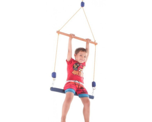 Sensory Therapy Double Trapeze Swing (recommend Swivel Hook Si303)