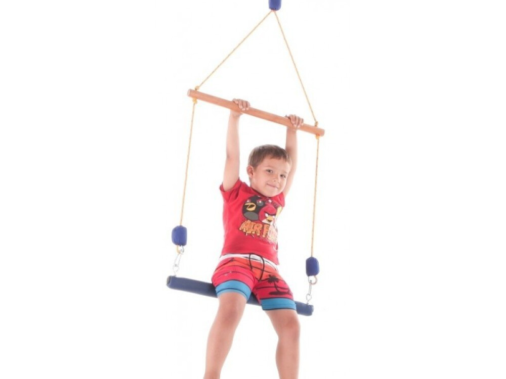 Sensory Therapy Double Trapeze Swing (recommend Swivel Hook Si303)