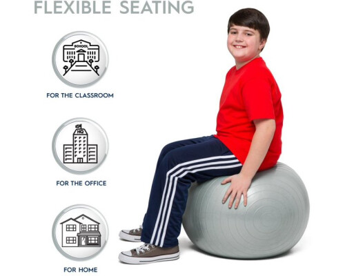 55cm Balance Ball No Roll Weighted Seat  Silver