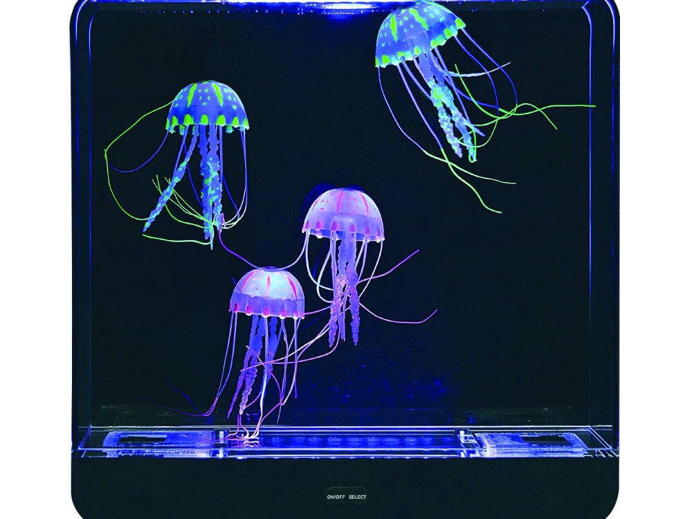 Extra Large Jelly Fish Tank - Square (interchangeable Eu/uk Adapter)