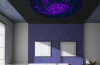 Fibre Optic Ceiling Display (includes 16w Light Source) (interchangeable Eu/uk Adapter)