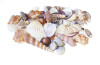 Mixed Shells Pack 900g