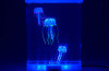 Jelly Fish Glow Tank (interchangeable Eu/uk Adapter)