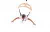 Sensory Therapeutic Frog Swing (recommend Swivel Hook Si303)