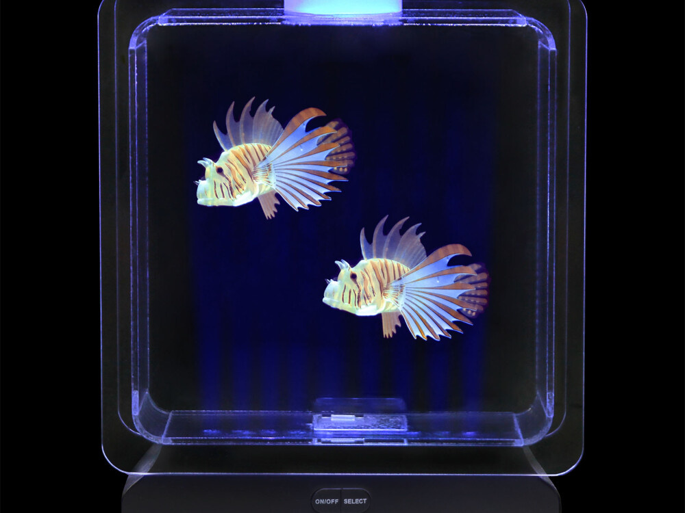 Fish Tank Square - 2 Tropical Fish (interchangeable Eu/uk Adapter)