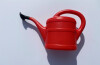 Watering Can 1ltr