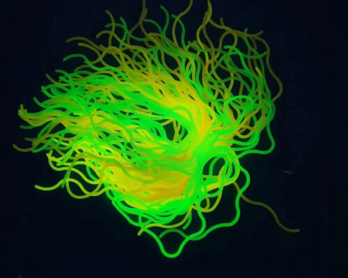 Glow In Dark Wavy Glow Spaghetti Strings