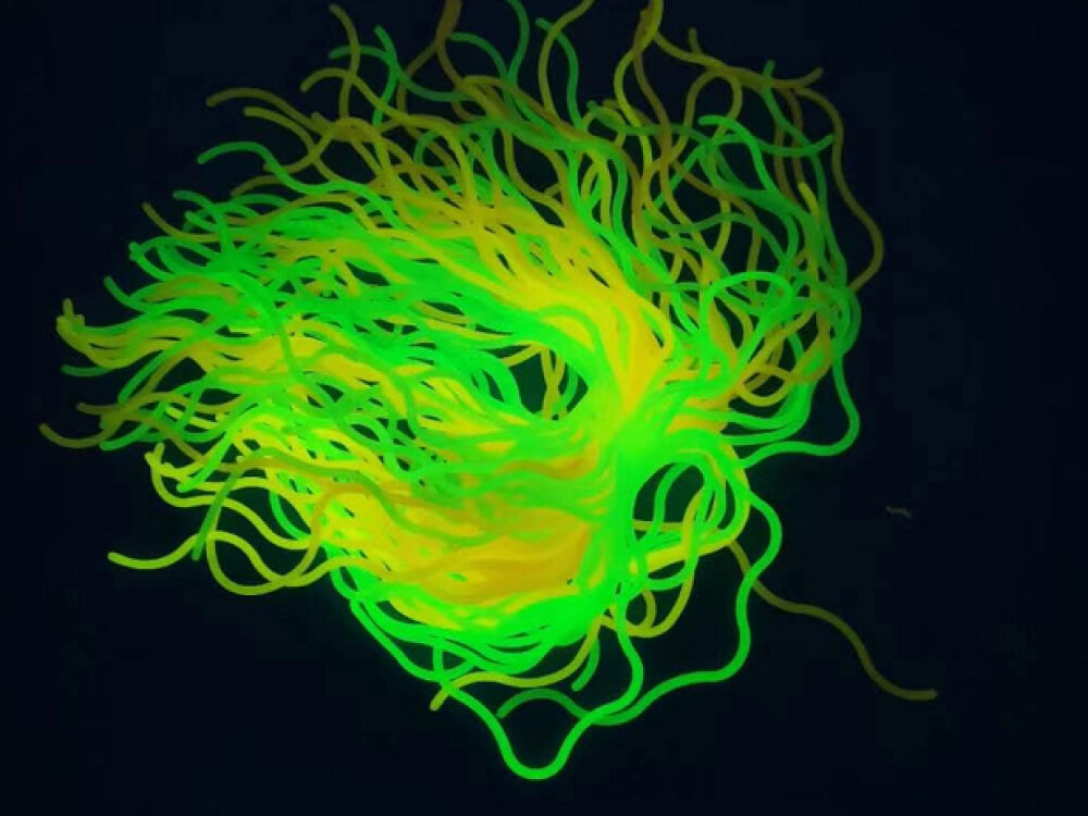 Glow In Dark Wavy Glow Spaghetti Strings