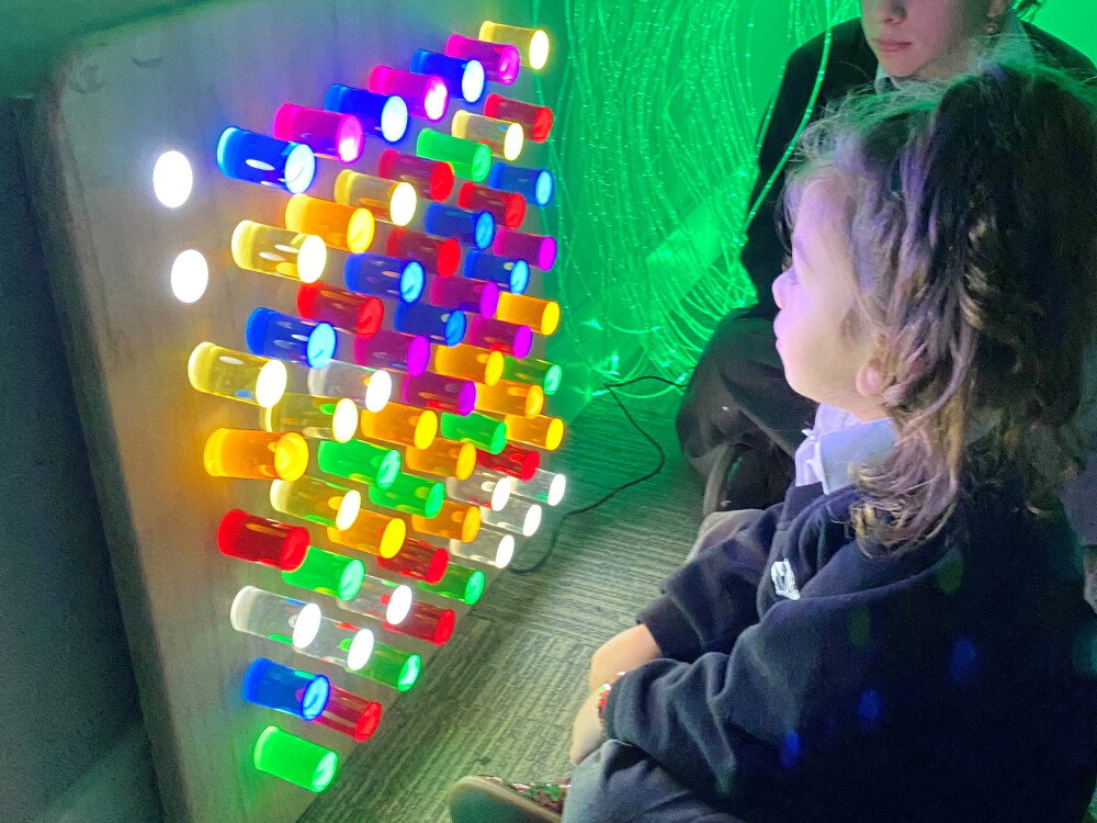 Wall Hanging Sensory Light Panel