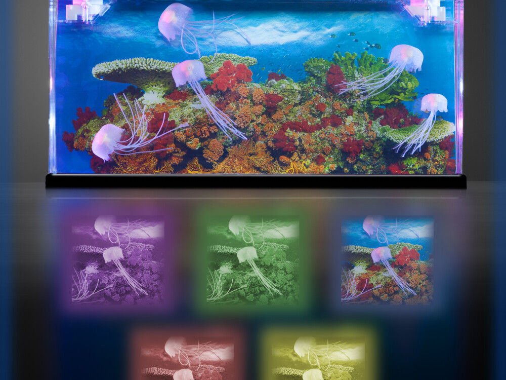 Jelly Fish Tank Large (interchangeable Eu/uk Adapter)