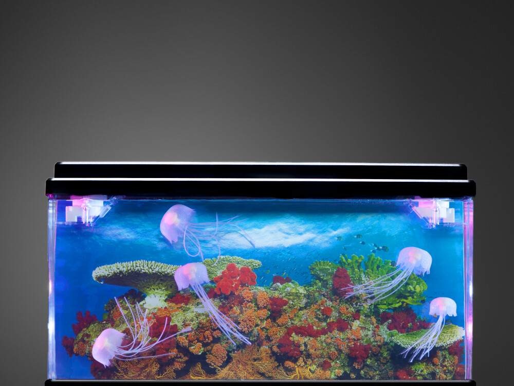 Jelly Fish Tank Large (interchangeable Eu/uk Adapter)