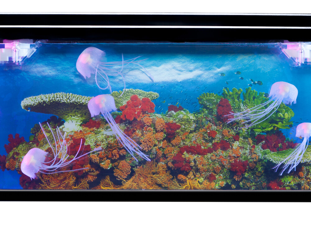 Jelly Fish Tank Large (interchangeable Eu/uk Adapter)