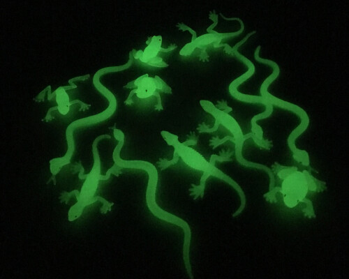 Glow In Dark Reptiles Set