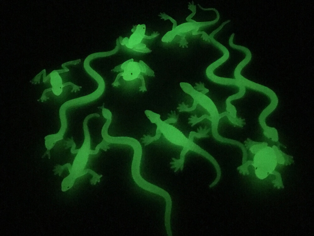 Glow In Dark Reptiles Set