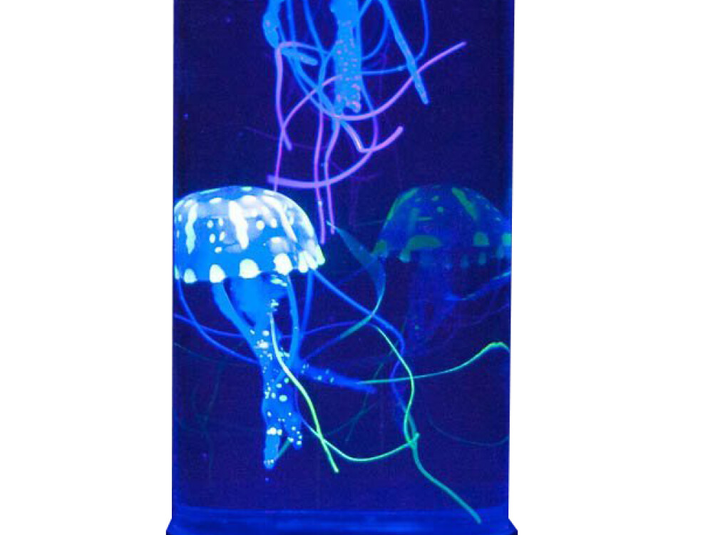 Jelly Fish Round Tank - Black (budget) (interchangeable Eu/uk Adapter)