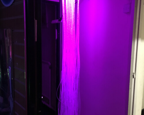 Fibre Optic Shower Support